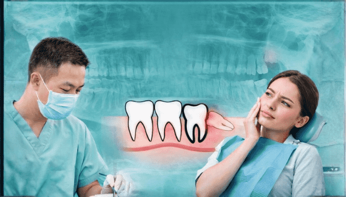 Le Dental Care
